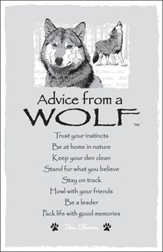 an animal poem with the words advice from a wolf