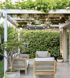 an outdoor living area with wooden furniture and potted plants on the roof, surrounded by greenery