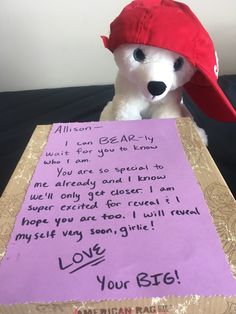 a teddy bear wearing a red hat and holding a letter to someone who is in love