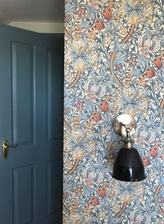 a blue door is next to a wallpapered room with a black light fixture