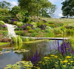 a pond surrounded by lots of flowers and greenery