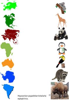 there are many different animals in the world on this page, and each has their own name