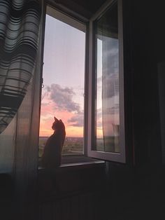 a cat sitting on a window sill looking out at the sunset