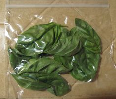 some green leafy vegetables are wrapped in plastic