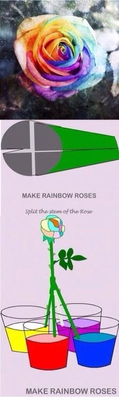 two pictures with different colors on them, one has a flower and the other has a rainbow