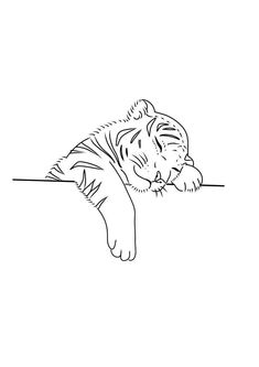 a black and white drawing of a tiger laying on its back with it's head down