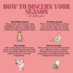 an info sheet describing how to use seasoning for your skin care products and what they are