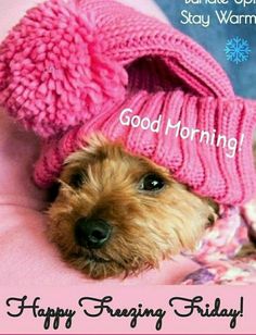 a cute little dog wearing a pink hat and scarf on top of a bed with the caption good morning happy friday