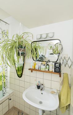 a white sink sitting under a bathroom mirror next to a bath tub filled with plants