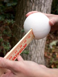 a person holding a white ball and measuring it with a wooden ruler in their hand