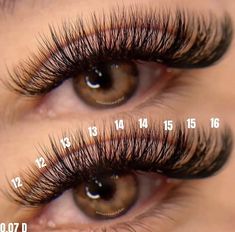 Long Cat Eye Lash Extensions Map, Lash Extension Numbers, 0.07 D Curl Lash Extensions, Lashes Extensions With Numbers, Cat Eye Lash Map D Curl, Eyelash Extensions Numbers, Lashes With Numbers, Lashes Numbers, Lash Extensions Mapping Styles Cat Eye