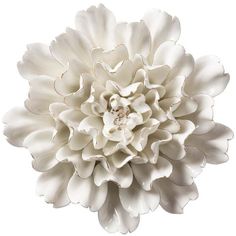 a large white flower is shown on a white background with clippings to the center