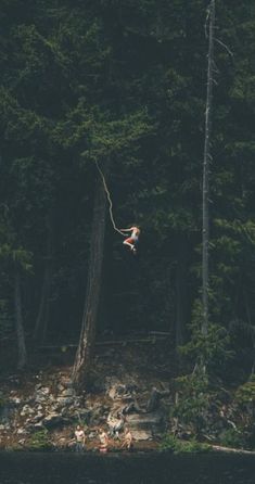 two people are swimming in the water near some trees and rocks, while one person is swinging from a tree branch