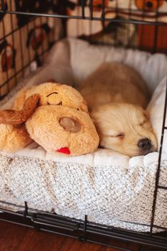 a small dog sleeping in a cage with a stuffed animal on it's side