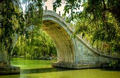 a bridge over a body of water surrounded by trees