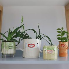 four ceramic pots with plants in them on a shelf