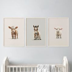 three pictures of sheep are hanging on the wall above a crib in a baby's room