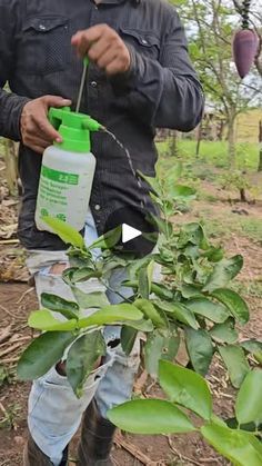 a man standing in a field holding a green bottle and spraying it with a hose