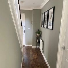 Grey hallway with dark wooden floors Grey Hallways And Stairs, Dark Wood Floor Hallway Ideas, Dark Color Hallway, Hallway With Dark Wood Floor, Modern Hallway Colours, Green Carpet Hallway, Colour Ideas For Hallway And Stairs, Dark Floor Hallway Ideas, Dark Wood Hallway