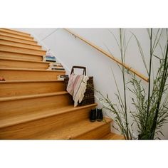 a bag sitting on top of a wooden stair case next to a plant and bookshelf