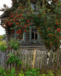 an old wooden house with red flowers growing on it