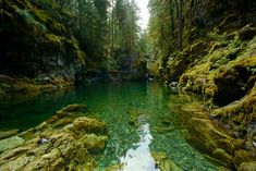 the water is crystal clear and green in this area with moss growing on the rocks