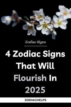 4 Zodiac Signs That Will Really Flourish In 2025 Libra Virgo, Zodiac Signs Scorpio, Zodiac Personalities