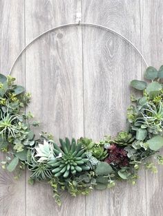 a circular wreath with succulents and greenery hanging on a wooden wall