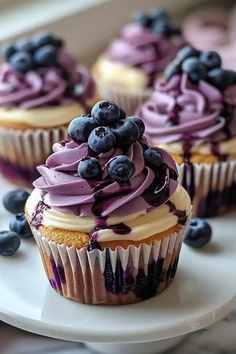 blueberry cupcakes on a white plate with purple frosting and blueberries