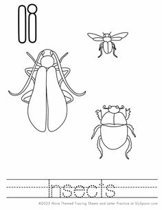 an insect worksheet with the letter b in it's center and two bugs on