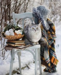 a cat is sitting on a chair in the snow next to a basket and blanket