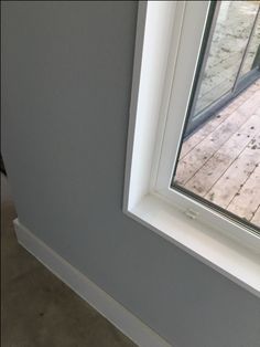 a cat sitting on the floor in front of a window