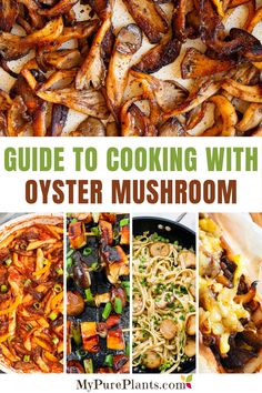 the ultimate guide to cooking with oyster mushrooms and other seafood dishes for dinner or dessert