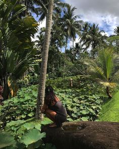 a woman sitting on top of a rock next to a lush green forest filled with palm trees