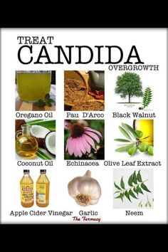 Other foods either promote Candida by disrupting healthy gut flora or they directly feed Candida. These foods include: Refined foods Juices (including homemade, fresh pressed fruit juices and sugary vegetable juices) Glutinous foods Fruits very high in sugars (grapes, dates, figs, pineapple, mangos) Processed meats Pork GMOs Dairy products Alcohol Toxic chemical additives (preservatives, artificial colors and flavors) Candida Diet Recipes, Vegetable Juices, Candida Cleanse, Candida Overgrowth, Candida Yeast, Gut Flora, Fruit Juices, Candida Diet