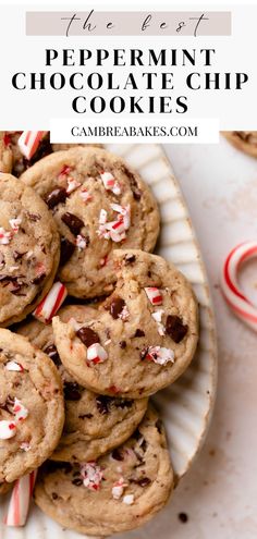 peppermint chocolate chip cookies in a pile after baking surrounded by candy canes. Peppermint Chocolate Chip Cookies, Bbq Dessert, Peppermint Chocolate, Christmas Baking Recipes, Christmas Food Desserts, Baked Dessert Recipes, Christmas Cooking, Baking Sweets, Cookies Recipes Christmas