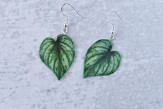 These Philodendron Mamei Silver Plant Earrings are handmade with love in Cleveland, Ohio. Show off your love of foliage with these stunning leaf earrings; made of paper and resin, with hypoallergenic sterling silver hooks. They look just like the real thing, so you can get the envy-inducing effect of having a lucious, perfect Mamei without all the upkeep of the living plant! (Also makes a great gift for any philodendron lover) Handmade Leaf-shaped Botanical Earrings, Handmade Botanical Leaf Earrings, Philodendron Mamei, Silver Plant, Plant Earrings, Cleveland Ohio, Heart Studs, Heart Earrings Studs, Earrings Sterling Silver