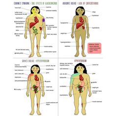 the human body is shown with different types of organs and their corresponding parts in each section