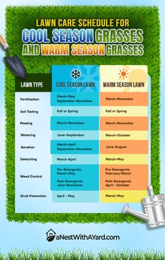 lawn care schedule for the winter season