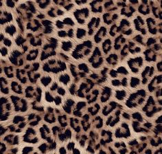 an animal print pattern that looks like it has been made into a wallpaper or fabric