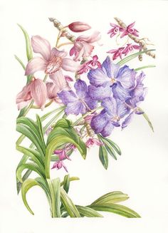 a painting of purple and pink flowers on a white background