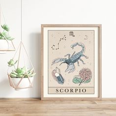 a zodiac sign with scorpions and flowers in front of a white wall next to a potted succulent plant