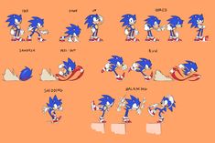 various stages of sonic the hedge character