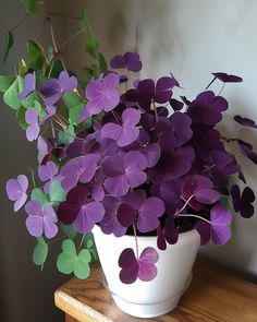 a white bowl filled with purple flowers on top of a wooden table next to a wall