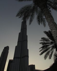 the burj building is very tall and has a palm tree in front of it