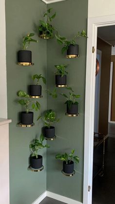 there are many potted plants in the corner of this room, hanging on the wall