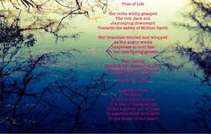 a poem written in pink and blue with trees reflected in the water behind it on a sunny day