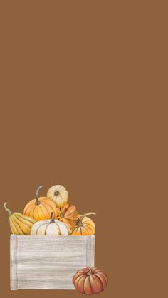 a painting of pumpkins and gourds in a bag on a brown background