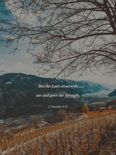 a tree with the words, but the lord stood with me and gave no strength