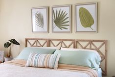 a bed with two framed pictures above it and pillows on the headboard, along with a potted plant